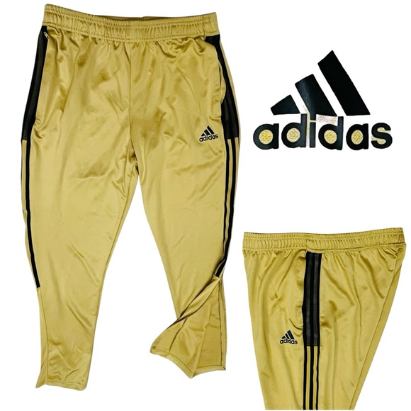 Adidas Jogger Pants Gold & Black Tiro 21 Men’s Tapered Track Soccer Sz L - Picture 1 of 12